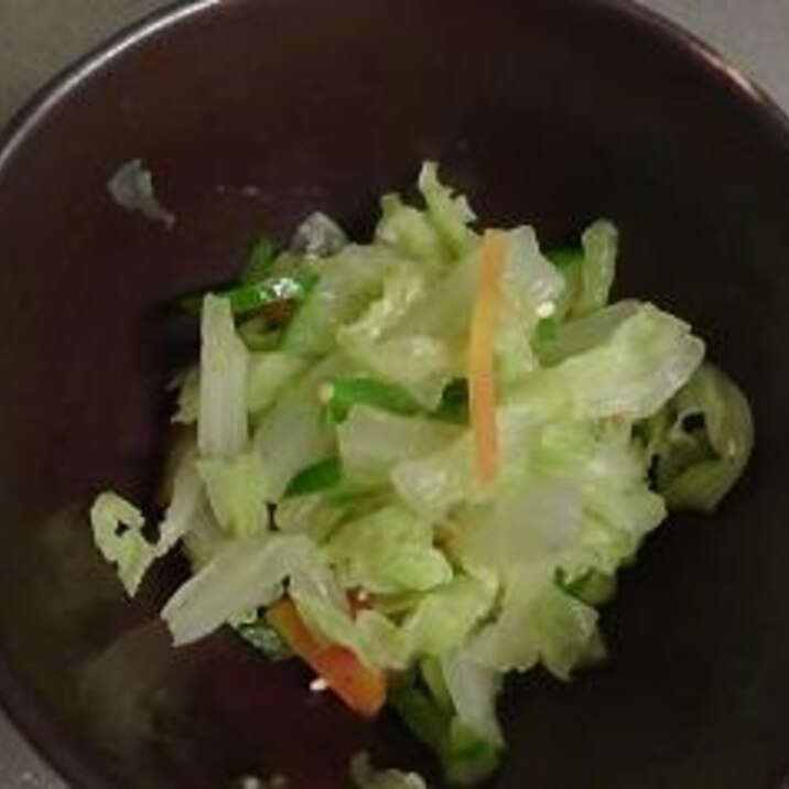 白菜のサラダ（離乳食）